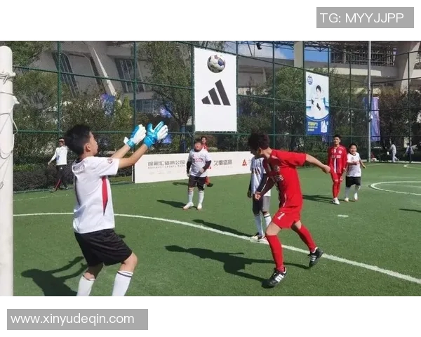 在绿茵场上奔跑的快乐与挑战踢足球的真实感受分享 在绿茵场上奔跑的快乐与挑战踢足球的真实感受分享