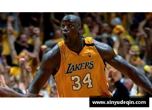 NBA历史上的顶级篮板球员：力量与统治力