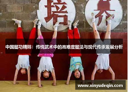 中国腿功精粹：传统武术中的高难度腿法与现代传承发展分析